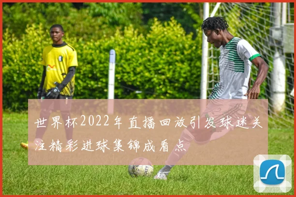 世界杯2022年直播回放引发球迷关注精彩进球集锦成看点