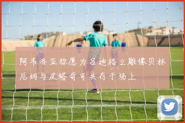 阿韦洛亚称愿为吕迪格立雕像贝林厄姆与皮塔奇可共存于场上